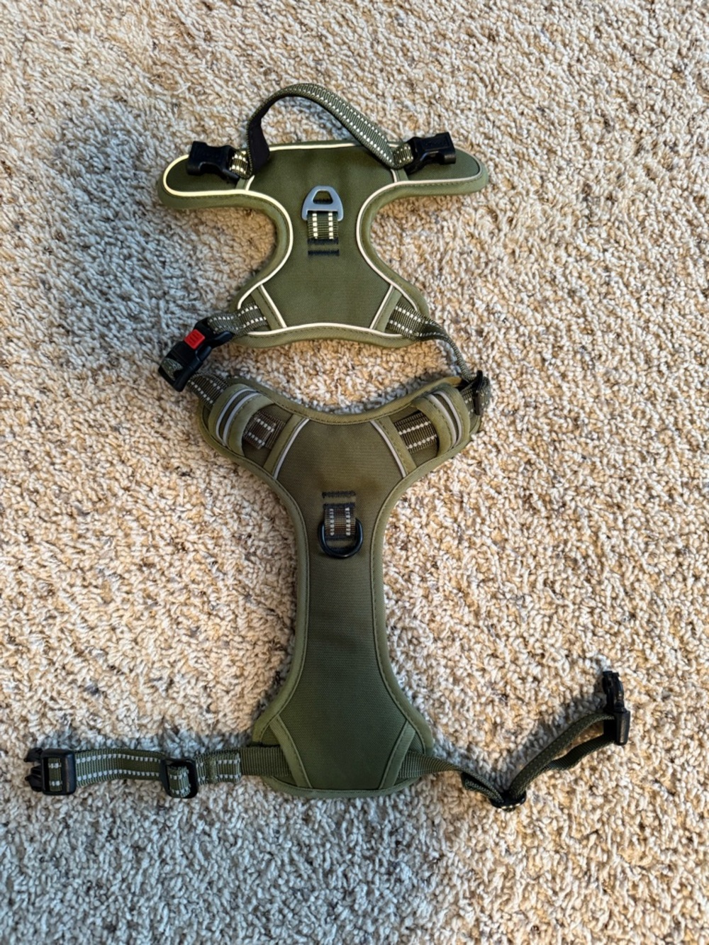 Dog harness